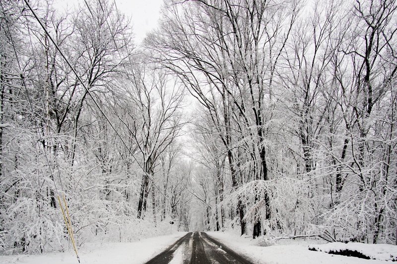 icicle, diminishing perspective, scenery, no people, frost, asphalt, outdoors, tree, storm, snow, transportation, postal office, landscape, winter, tranquility
