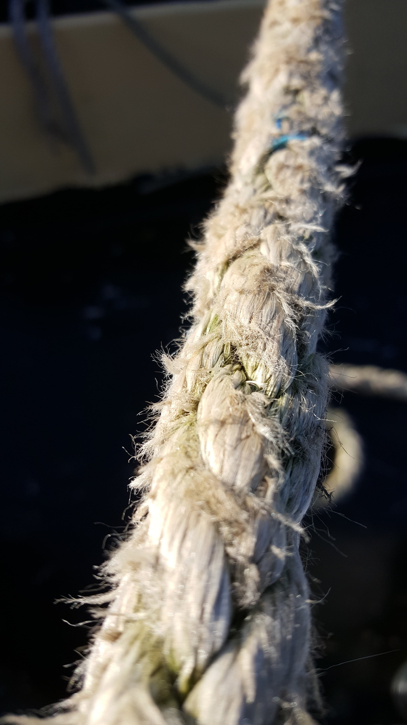 5K, tros, nature, connection, close-up, pattern, focus on foreground, high angle view, tied up, boat, day, still life, selective focus, ship, sunlight