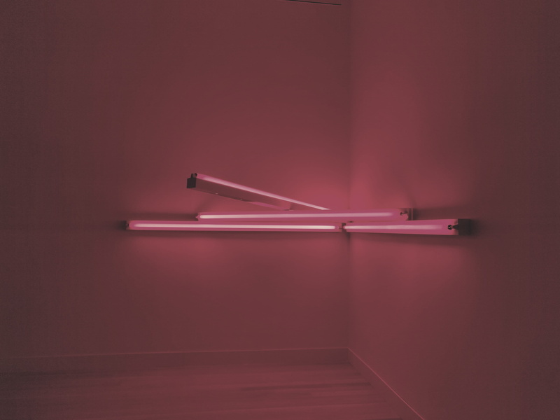 pen, indoors, wall - building feature, pink lights, fluorescent, single object, pink background, flourescent, domestic room, lights, close-up, red, 4K