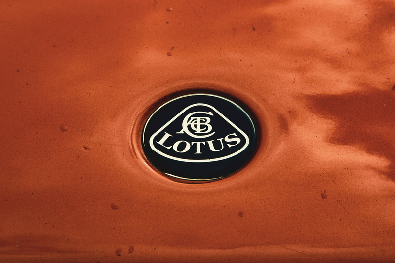 no people, logo, sign, day, badge, textured, rally, shape, orange, geometric shape, close-up, directly above, lotus, animal, gathering, 4K, detail, communication
