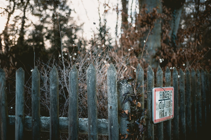 text, railing, hanging, nature, bird, possum, message, non-western script, barrier, focus on foreground, brown, sign, day, no people, lion, picket, hubcap