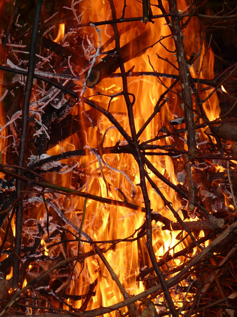 outdoors, glowing, heat - temperature, tree, wood, long exposure, branches, burning, sticks, Fire, Burn, campfire, wood - material, motion, full frame