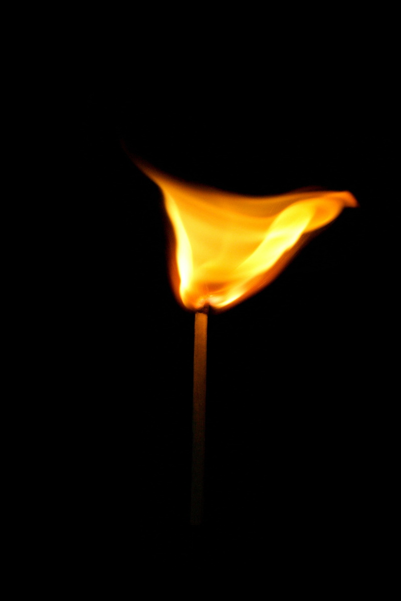 black background, wood - material, matches, kindle, black Color, inferno, ignition, fresh, wood, glowing, lighter, burning, sulfur, 4K, unused, new, heat