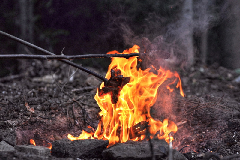 no people, burning, romance, glowing, campfire, branch, bonfire, log, outdoors, summer, land, wood - material, motion, environment, heat - temperature