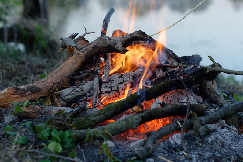 flame, heat, motion, fire, fire - natural phenomenon, firewood, burn, flames, day, heat - temperature, campfire, outdoors, no people, wood, orange color
