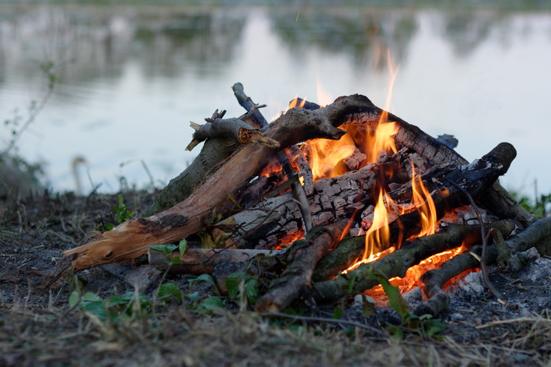 heat, wood, the flame, censer, an outbreak of, firewood, outdoors, no people, campfire, glowing, water, tree, wood - material, fire, day, heat - temperature