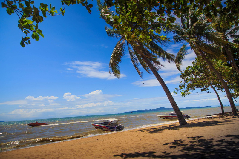 land, scenics - nature, tranquil scene, day, sky, tropical climate, plant, tranquility, tropical tree, sand, outdoors, water, no people, coconut palm tree