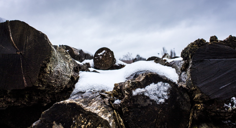 rock, icy trees, solid, log, frost, snow, cloud - sky, main-image, winter, tranquility, day, sky, frozen, iced, ice, cold, scenics - nature, tranquil scene