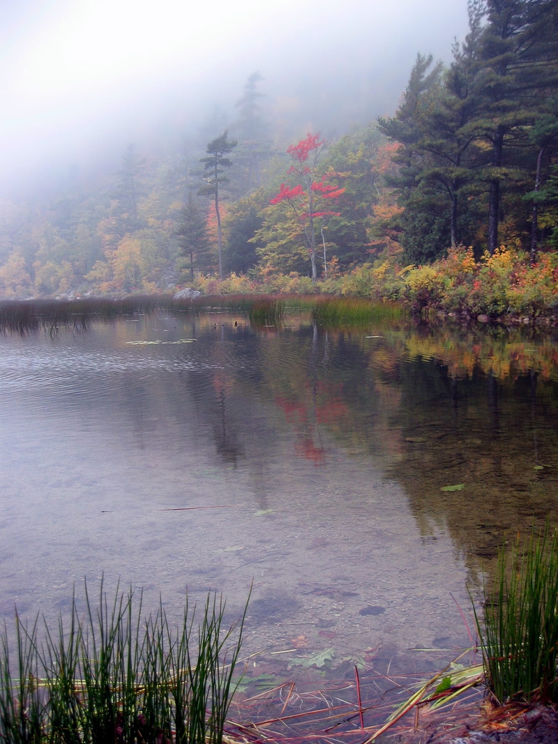 lake, no People, autumn, green Color, body of water, day, body, trees, rural, scenics - nature, pond, photo, forest, maine, river, plant, countryside, mountain