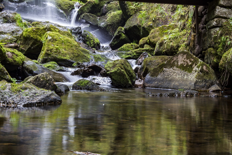 forest, environmental protection, waters, moss, motion, responsibility, flow, liquid, no people, solid, creek, waterfront, scenics - nature, protect, rock