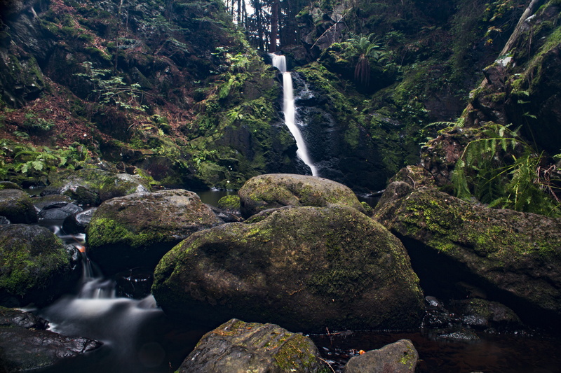 movement, plant, main-image, bach, beauty in nature, nature reserve, liquid, cascade, outdoors, hills, tree, solid, rocky waters, shore stones, water feature