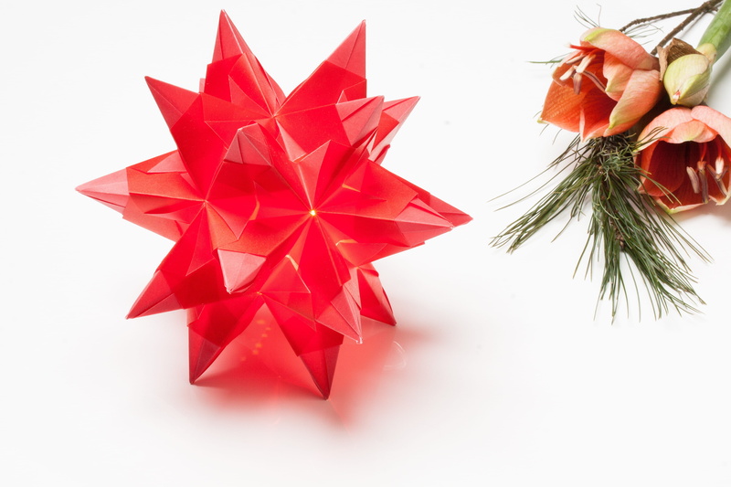 plant, table decorations, shape, shiny, indoors, holiday - event, 4K, 3 dimensional, decoration, amaryllis, fold, still life, star, gift, geometric body