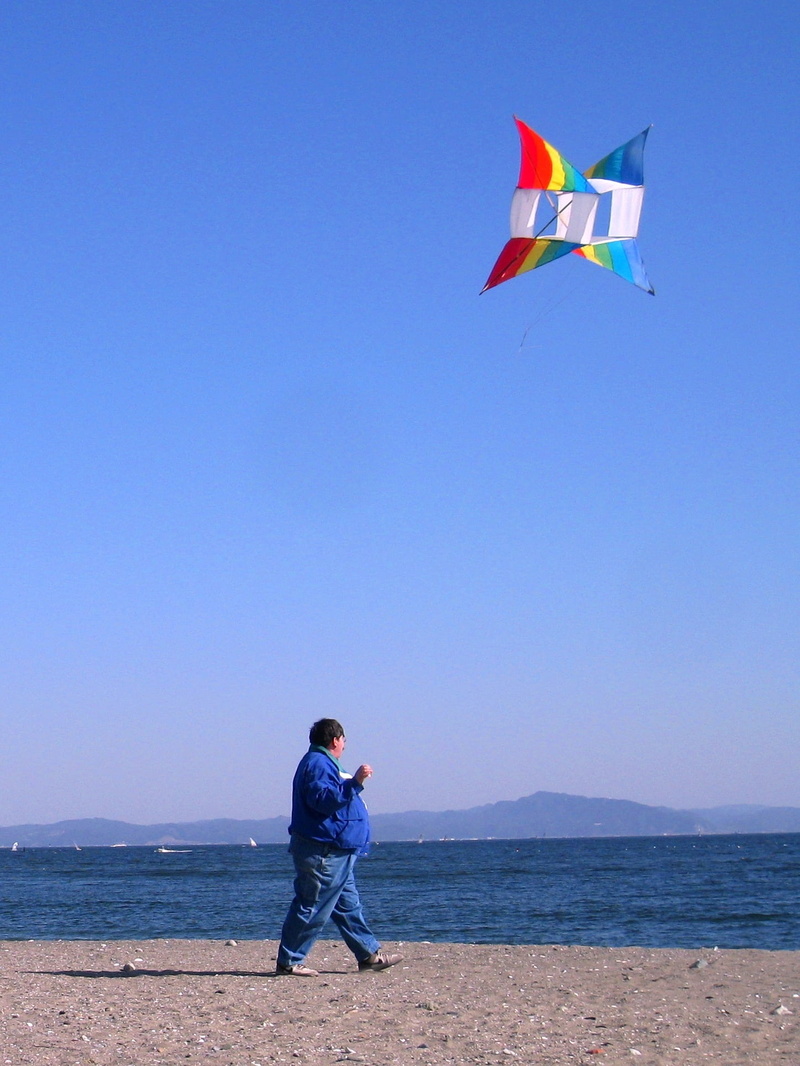 sky, blue sky, land, kanagawa, leisure activity, 1080P, clear sky, standing, antomasako, scenics - nature, kite, chiba, nobi beach, wind, man, outdoors