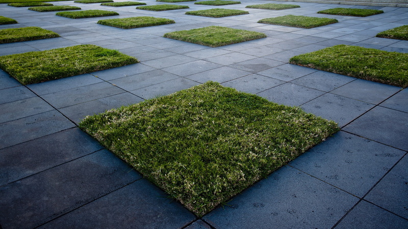 grass, sidewalks, 1080P