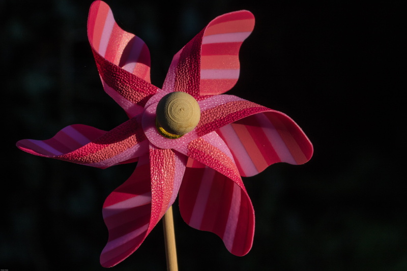 animal, art and craft, holiday, tied bow, flower, colorful, ribbon, focus on foreground, red, black background, fun, close-up, toys, no people, windspiel