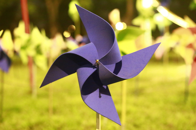 highlights, plant, origami, field, pinwheel, toy, 5K, blue, paper, pinwheel toy, creativity, focus on foreground, art and craft, close-up, day, land, grass