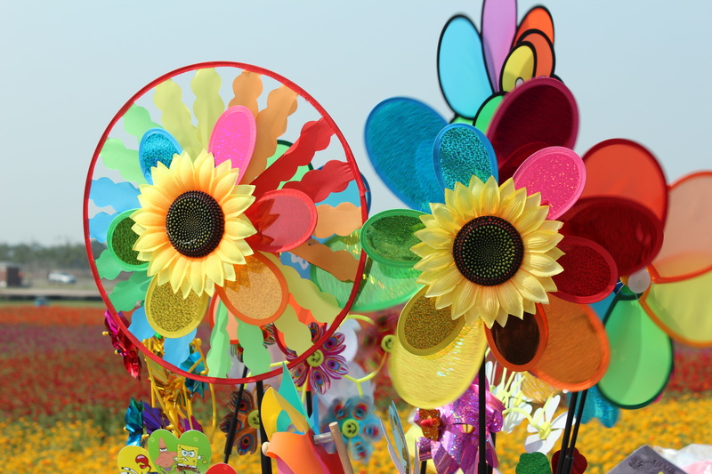 pattern, sky, flying car, creativity, plant, day, decoration, multi colored, outdoors, choice, close-up, flower, pinwheel toy, no people, variation, color