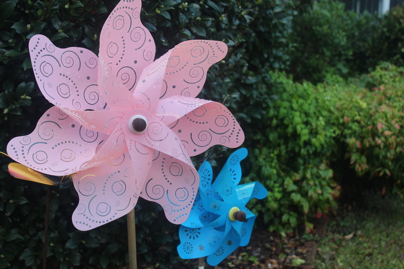 united states, floral pattern, plant, creativity, pinwheel toy, pinwheels, representation, pink color, outdoors, close-up, communication, chapel hill, text