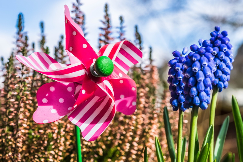 windspiel, windmill, flower, no people, vulnerability, outdoors, pink color, flowers, growth, petal, focus on foreground, 5K, turn, flower head, fragility