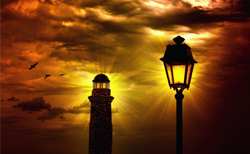 night, dramatic sky, cloud - Sky, animal themes, vertebrate, building exterior, animal wildlife, flying, silhouette, electric Lamp, famous Place, history