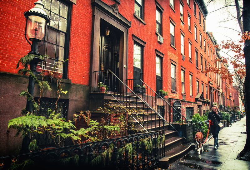 dog, Brooklyn, the sidewalk, 1080P, United States, lamppost, New York, Brownstones, woman