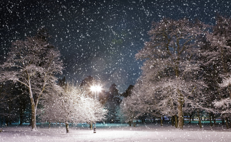 snow, Winter, no people, frozen, 4K, scenics - nature, black, tree, treelined, snowing, beauty in nature, field, plant, lamppost, landscape, sky, tranquility