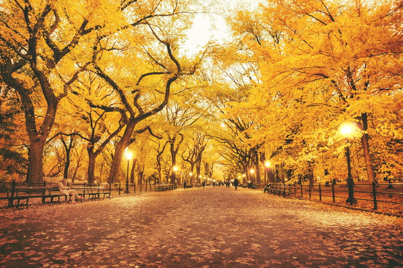 lampposts, road, trees, Park, leaves, lights, benches people, brown, autumn, 1080P, concrete
