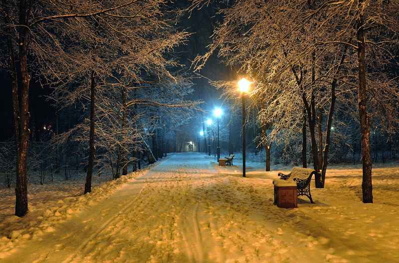outdoors, winter snowy park, winter snow Park, single Lane Road, footpath, lighting equipment, beautiful scene, winter, snowing, covering, bare tree, scenics