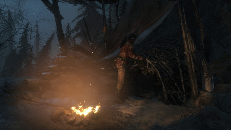 branch, red coat, Lara Croft, no people, shelter, nature, trees, environment, woodland, outdoors, 1080P, tranquility, night, plant, Rise of the Tomb Raider