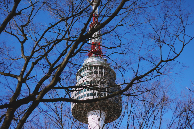 no people, modern, winter, low angle view, 5K, tree, korea, bare tree, city, tourism, office building exterior, seoul, tall - high, building, tower, architecture