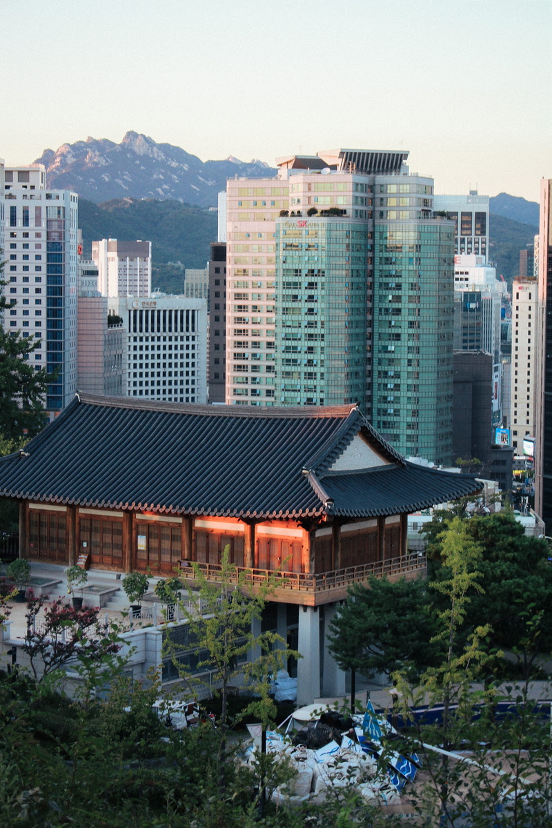 high angle view, tree, metropolis, urban, worship, neighborhood, seoul, 2K, built structure, shrine, temple, high rise, office building exterior, city