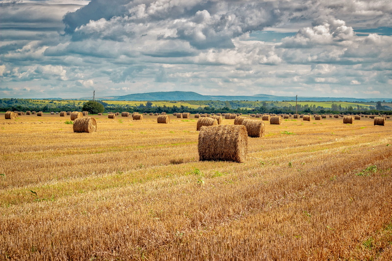 outdoors, scenics - nature, landscape, farm, plantation, 5K, tranquility, clouds, cloud - sky, haystacks, day, agriculture, bale, land, plant, tranquil scene