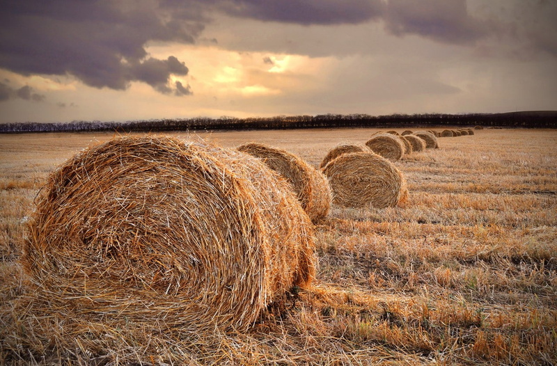 haystacks, sunset, field, farm, 720P, landscape, hay, straw, fall