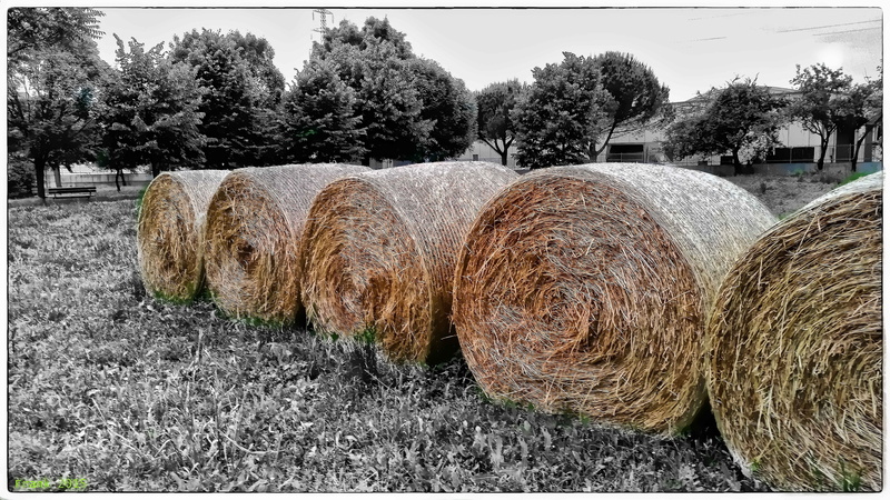 5K, panoramas, haystacks