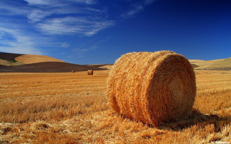 haystacks, field, landscape, 1080P