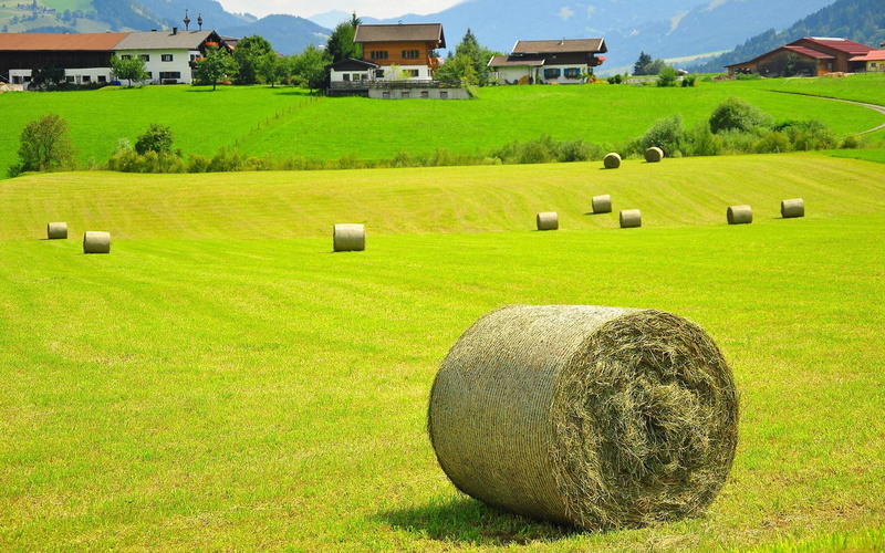 1080P, bale, bales, house, haystack, mountain, green, rolled, photography, hay, 1920x1200, field