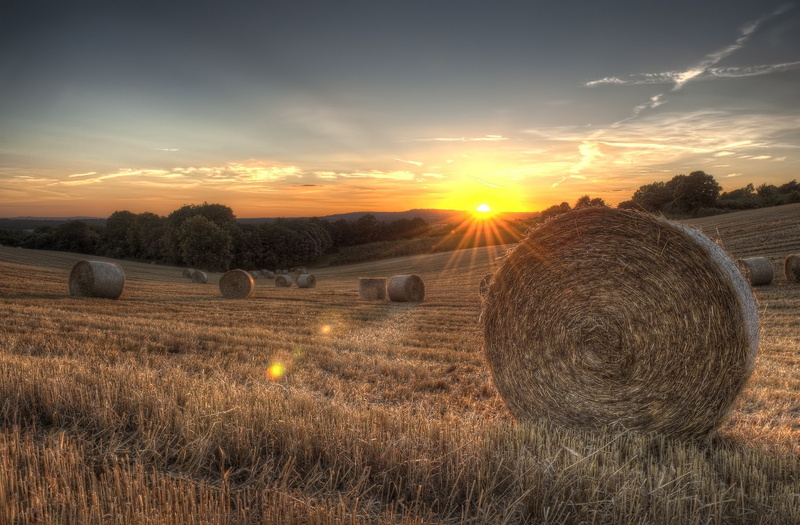bale, 1080P, environment, beauty in nature, crop, sunset, hay, landscape, cloud - sky, tranquility, tranquil scene, land, nature, haystack, no people