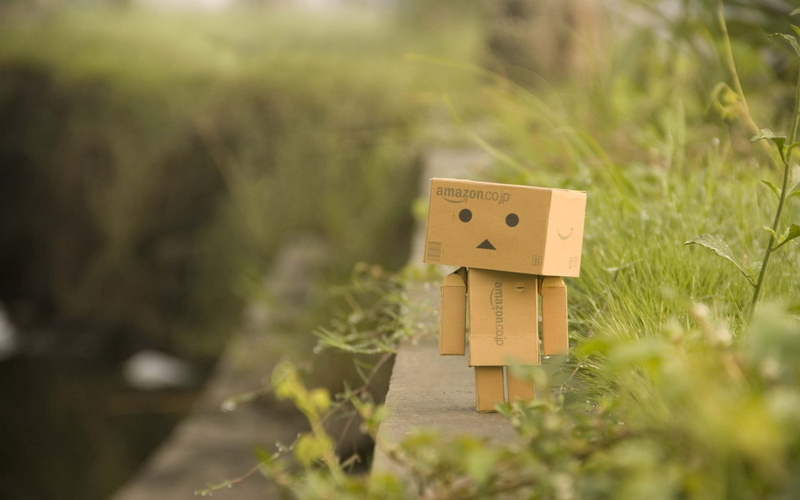 art and craft, cardboard, domo, birdhouse, house, creativity, representation, small, color Image, wood - Material, plant, road, brown, close-up, grass