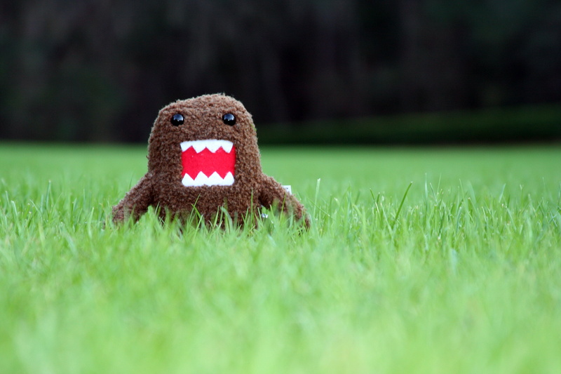 Domokun, Domo, Florida, growl, grass, hungry, nature, japanese, dumu, crush kill destroy, angry, grr, attack, animal, invade, eat, green grass, brown, 2K