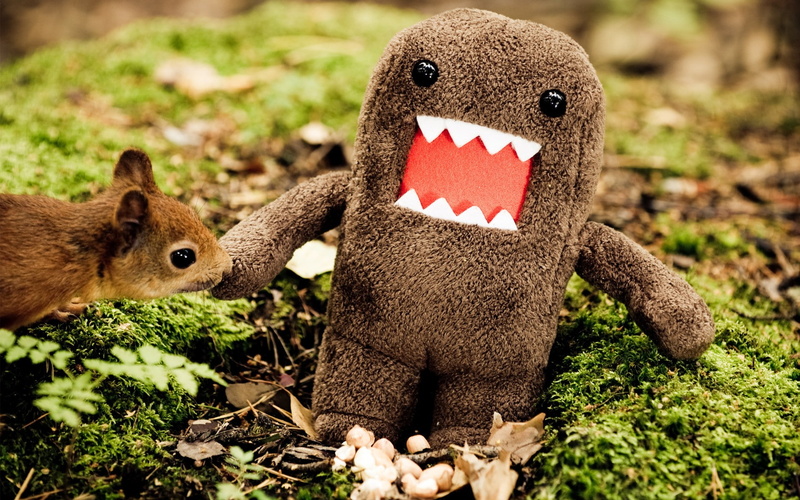 animals, domo, funny, 1080P