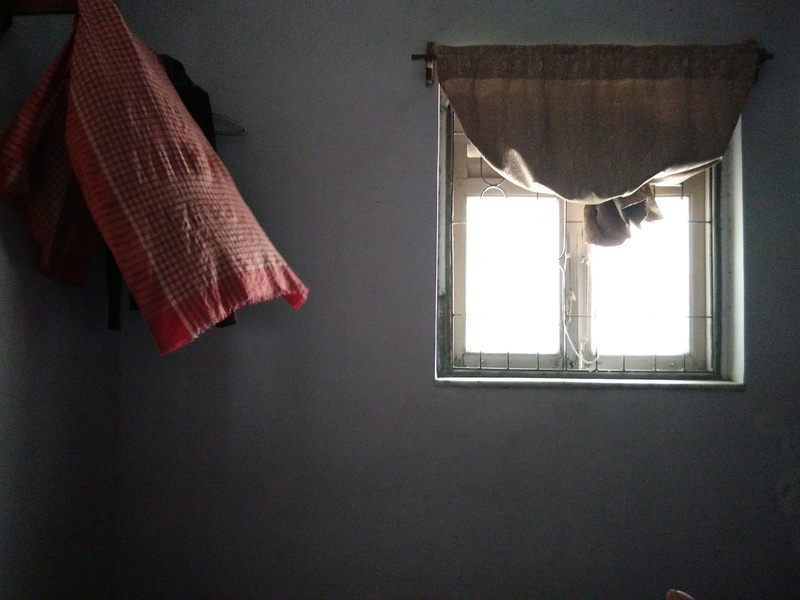 wall - building feature, indoors, close-up, no people, nature, curtain, electric lamp, house, home interior, textile, mumbai, interior design, dining room