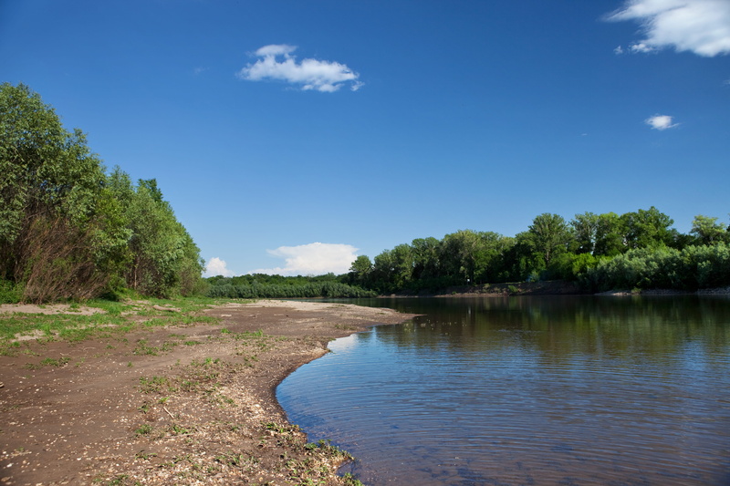 bush, tree, tranquility, area, tranquil, sky, riverbank, riverscape, growth, loch, heaven, waterside, 5K, riverside, ufa, day, beauty, summer, river, sunlight