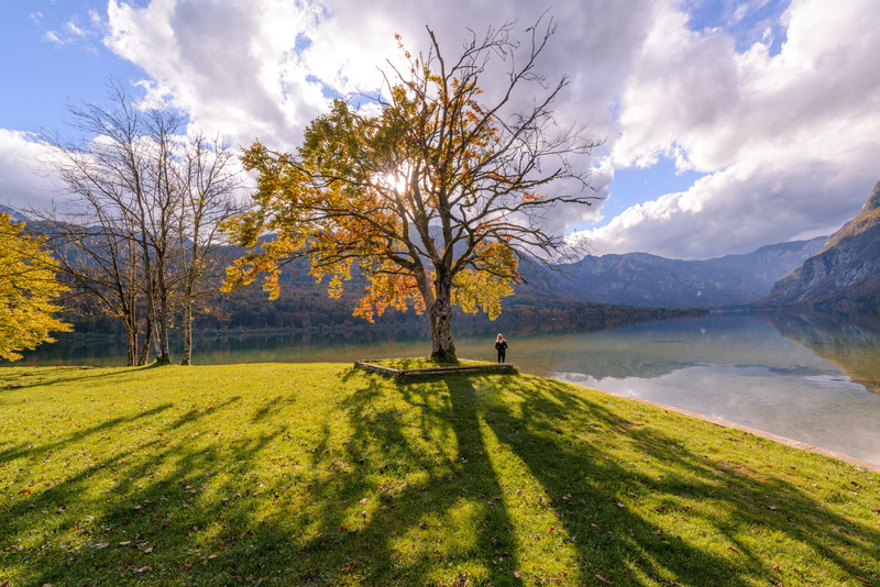 autumn, mountain, grass, scenic, cloud - sky, reflection, tranquil scene, fall, scenery, change, travel, idyllic, park, outdoors, forest, tourism, countryside