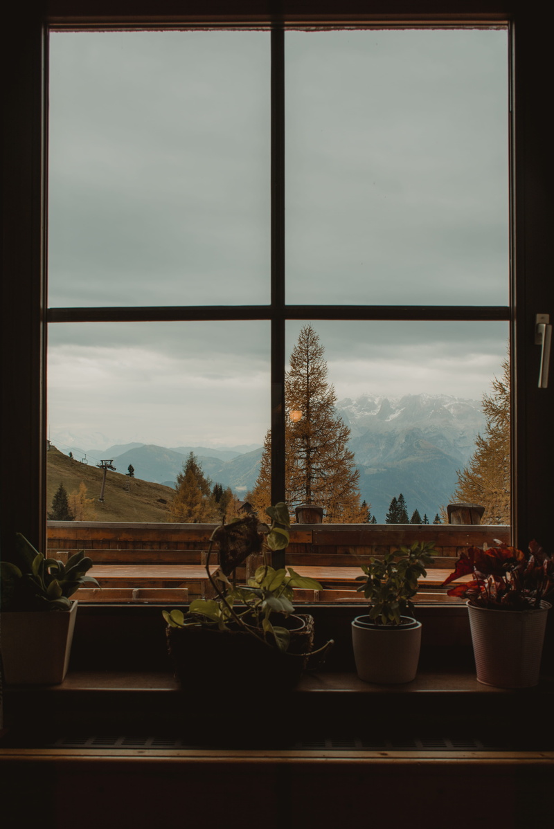 nature, potted, table, sky, day, cloud - sky, plant, flower pot, window frame, 5K, architecture, plants, window sill, beauty in nature, no people, windowpane