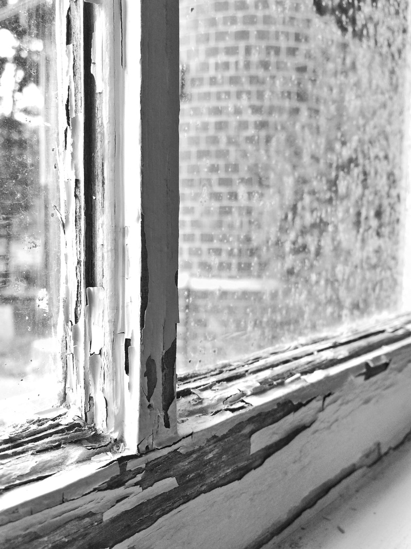 architecture, windowpane, built structure, nature, outdoors, peeled paint, day, black and white, close-up, wall, glass - material, wall - building feature