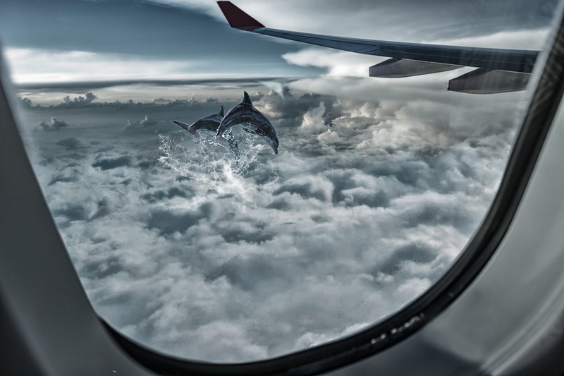 mid-air, outdoors, journey, 2K, nature, cloud - sky, ominous, travel, flight, vehicle interior, sky, motion, animal themes, airplane, mode of transportation