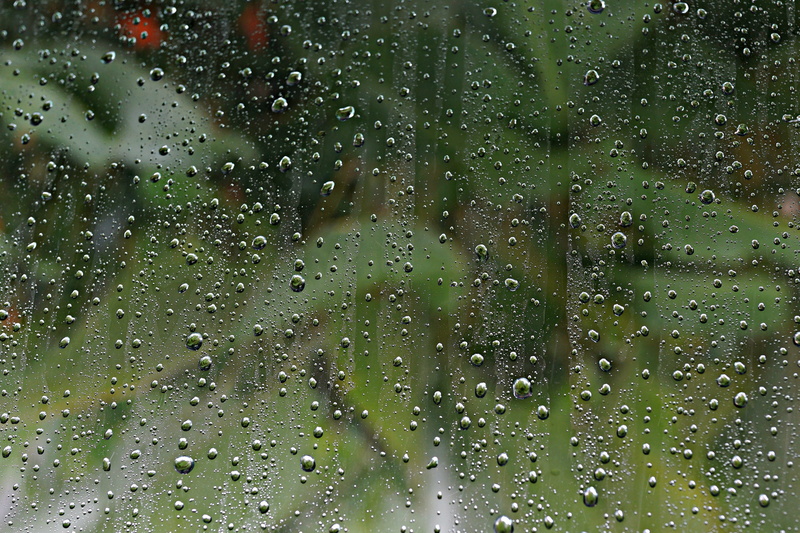 car, glass - material, wet, water, 4K, close-up, liquid, garden setting, motor vehicle, reflection, raindrop, windowpane, day, full frame, window, raindrops