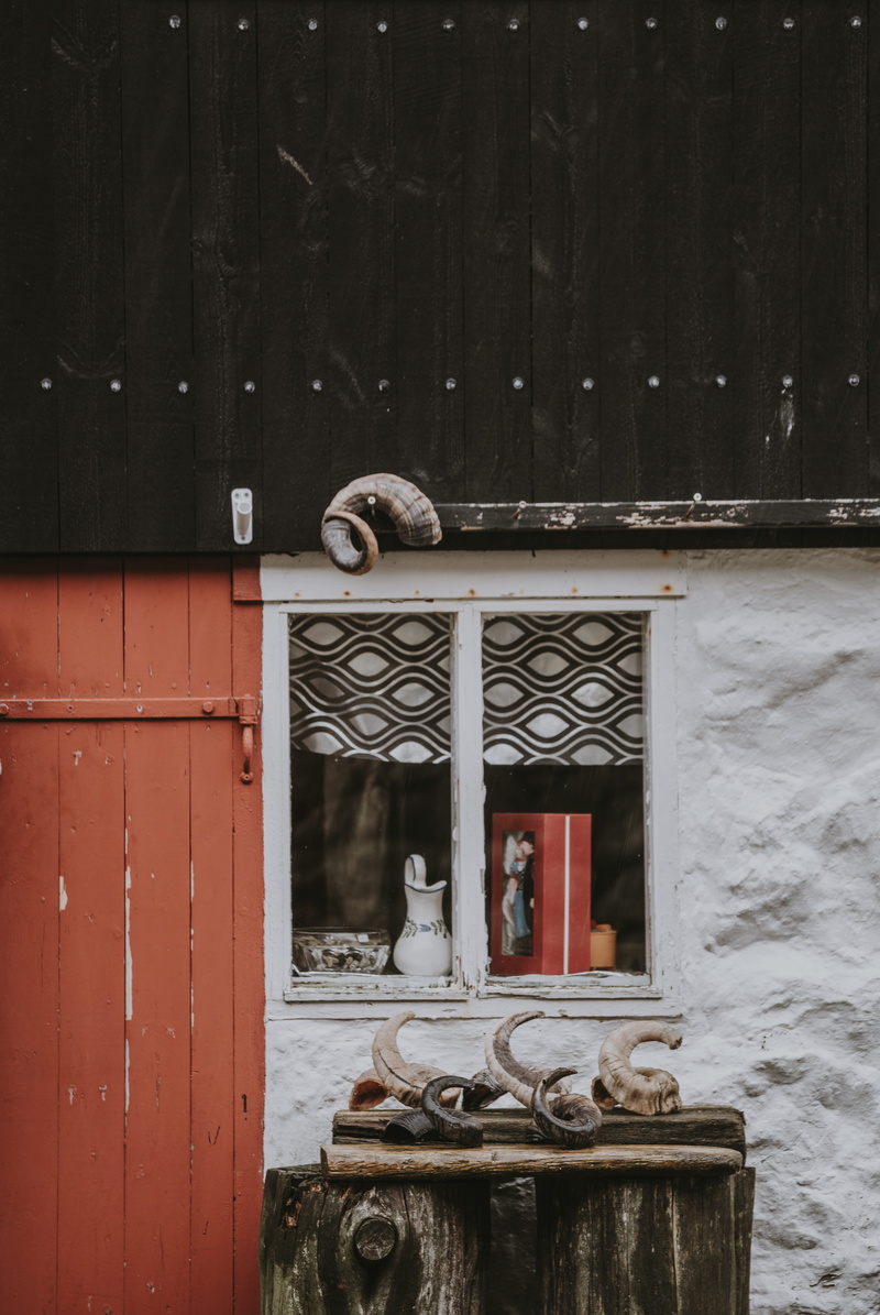 building exterior, outdoors, 8K, log, front, transportation, nature, window, door, built structure, wheel, wood - material, metal, rustic, decor, horns
