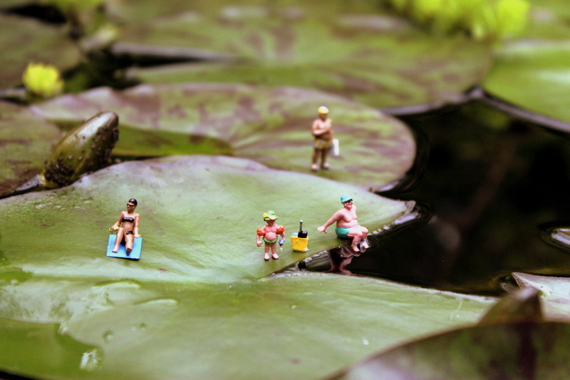 plant part, miniature photography, group of people, toys, adult, plant, leaf, swim, rest, floating on water, water lily, green color, chill out, relax