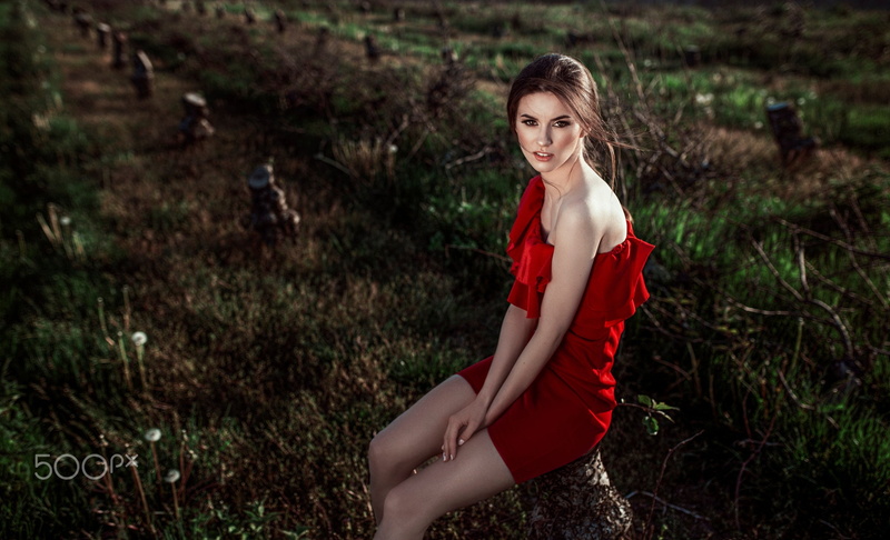 red dress, long hair, land, beautiful woman, model, dress, women, young adult, one person, smiling, red, brunette, hairstyle, plant, fashion, outdoors
